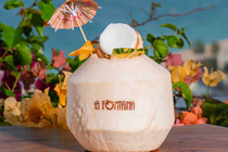Tropical Melon Splash